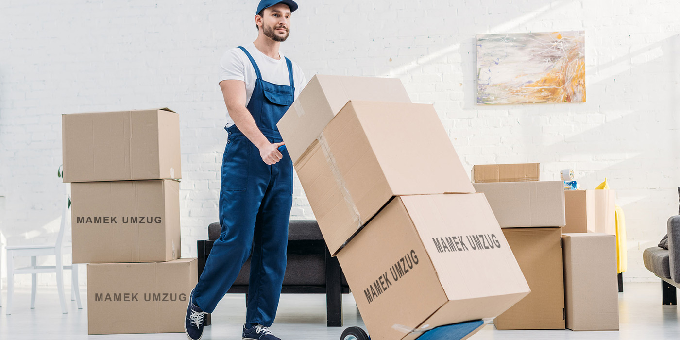 Professional intermediate storage of your property